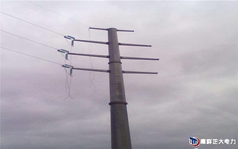 生產(chǎn)高壓電線桿是在一定轉(zhuǎn)速，產(chǎn)生足夠的離心力，使水泥料形成中間空的電線桿的鋼模中用蒸汽養(yǎng)護(hù)而成